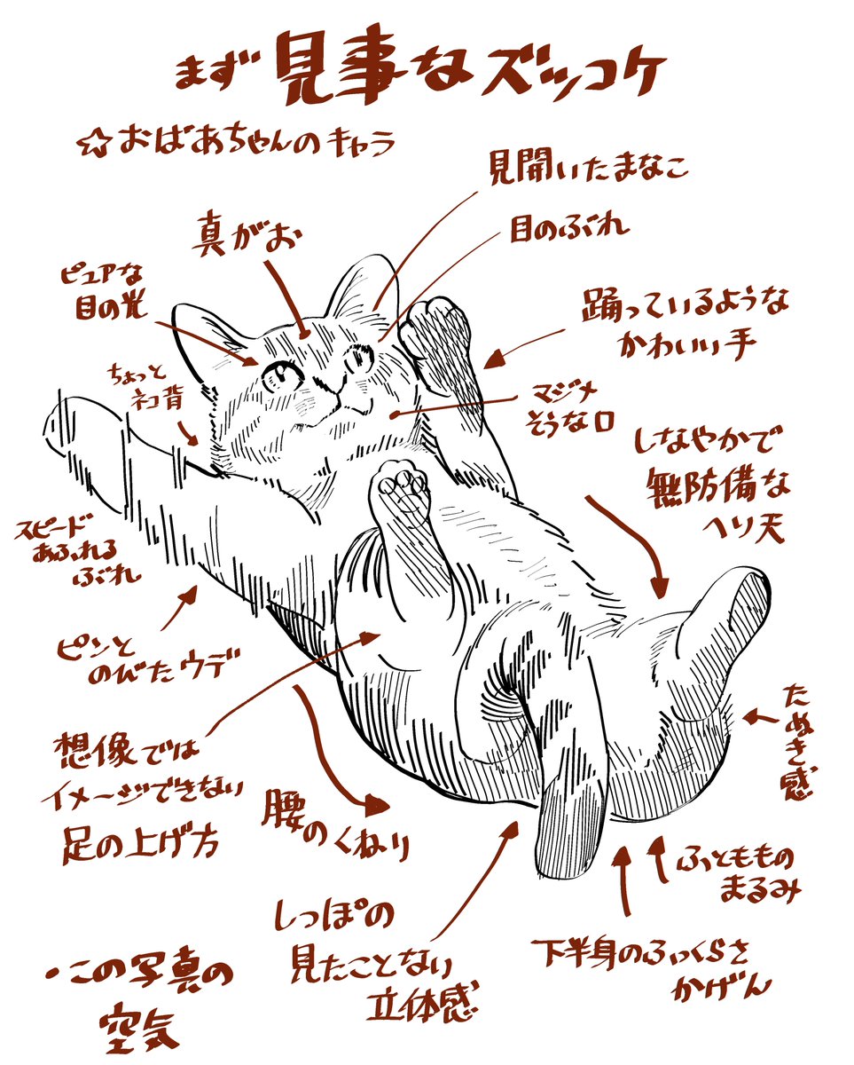 maedax_x's tweet photo. 個人的にズッコケネコちゃんの好きなポイントを描き出したら、どこのポイントも見事でした。 https://t.co/LeIGTh5liR