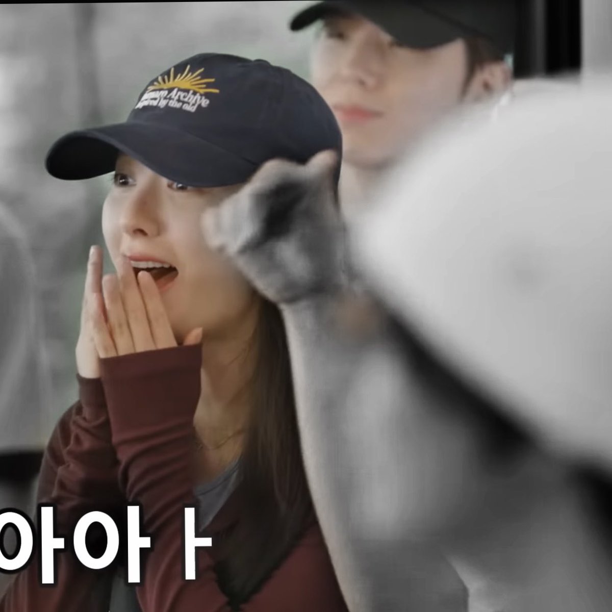 yoohaemzi's tweet photo. oh ini yg oper operan jeruk https://t.co/dvSm9Yfa4L