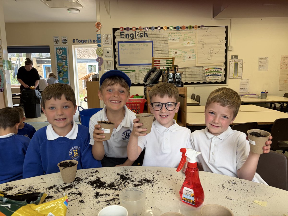 MrsTolandSTM's tweet photo. Sunflowers 2🌻 
We will water them each week and hopefully they will grow 🤞💦 @StMSchStewkley #ScienceatStMichaels https://t.co/pNGyntKCl4