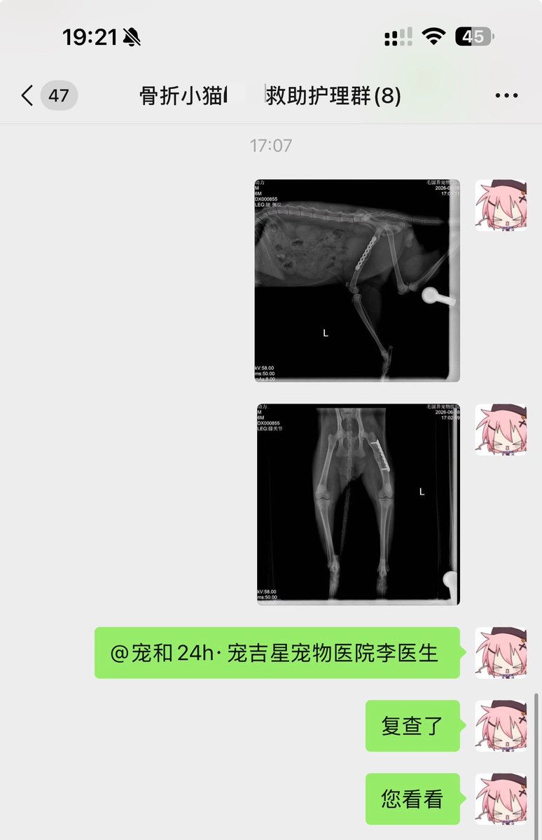 你迟来的顿悟很可爱 tweet media