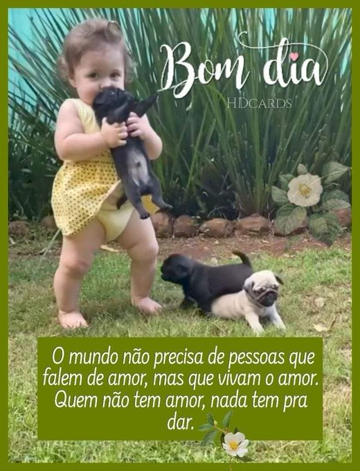 ana heloisa siqueira tweet media