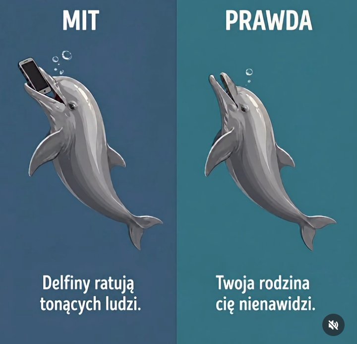 Dawid🐦🔥 tweet media