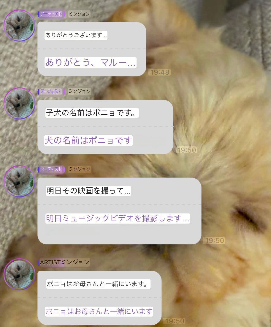 Fuyu Archive tweet media