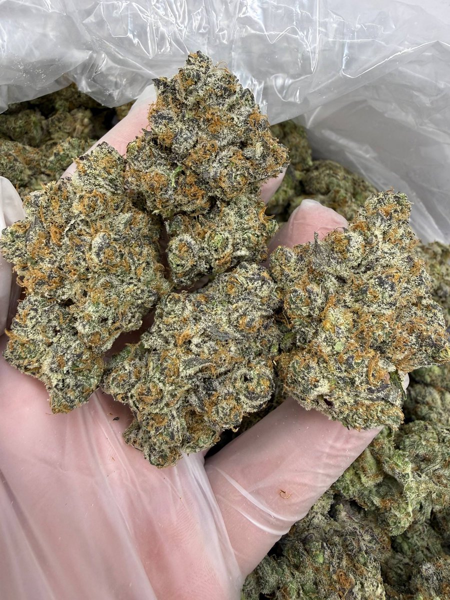 theplughtown's tweet photo. Houston plug  ❄️☃️
3.5/25
7/50
14/100
28/150

#houstonplug #weed #houstonmeets #houston #deliver #houstonbestplug #zaza #springplug #cypressplug #katyplug #northsideplug #htxlinkup #htxsnow #drgtwt #htxdrugs https://t.co/NjUvSje7Ql