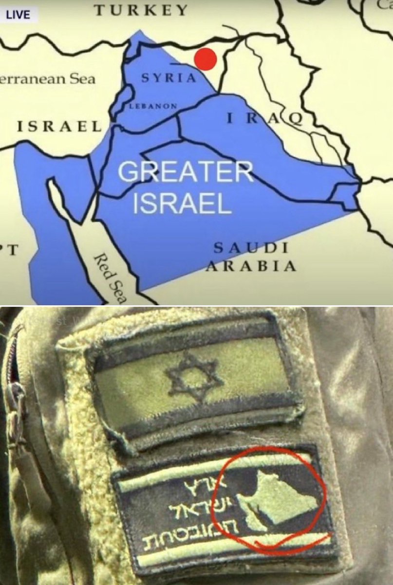 Doctorchimps's tweet photo. @rhinossd @z_e_silver Funny how homeboy manages to be  both racist and offended racism in the same sentence with the " Jew hating Islamist piece of shit." 

Offended by everything, ashamed of nothing. This is the Pissraeli way. https://t.co/tJrwLj15Pq