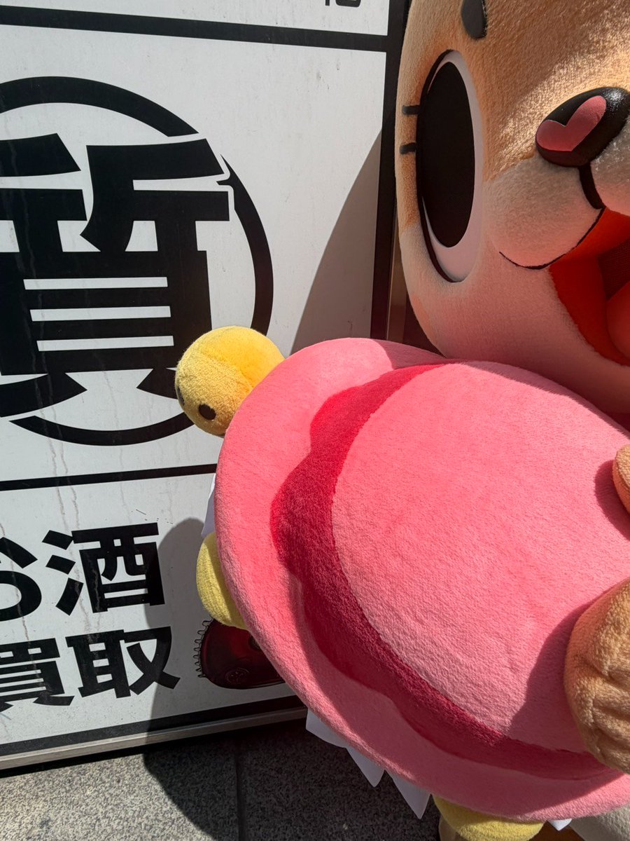 カメちゃん質入れ？😀💧