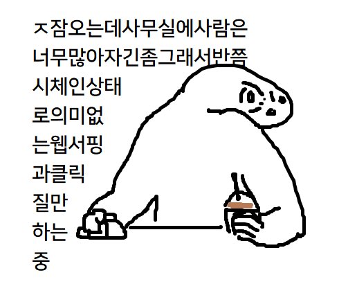 로로아🌿 tweet media