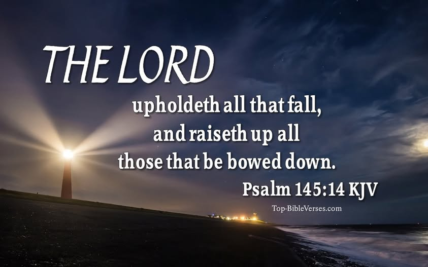 kkalis's tweet photo. I had a serious fall on Sunday the 14th and am painfullly recovering, but the good news is: No, never alone, no never alone,
He promised never to leave me,
He’ll claim me for His own;
No, never alone, no never alone.
He promised never to leave me,
Never to leave me alone.

When in affliction’s valley I tread the road of care,
My Savior helps me carry the cross so heavy to bear;
Though all around me is darkness, earthly joys all flown;
My Savior whispers His promise, never to leave me alone!
Refrain
Ludie D. Pickett, 1897.

I am with you alway, even unto the end of the world. 
The Lord Jesus Christ, in Matthew 28:20