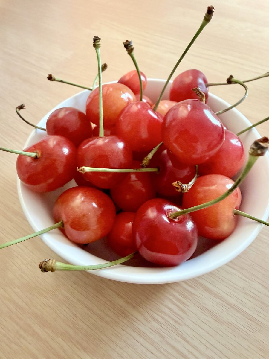 crcrcamp's tweet photo. ぷりっぷりんのあまーいの届いた🍒´-
食べる分だけお皿に乗せて食べないと…(*´༥`*)♡ https://t.co/CUr2fBHk9R