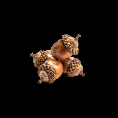 Acorn —— 𑣲⋆ tweet media