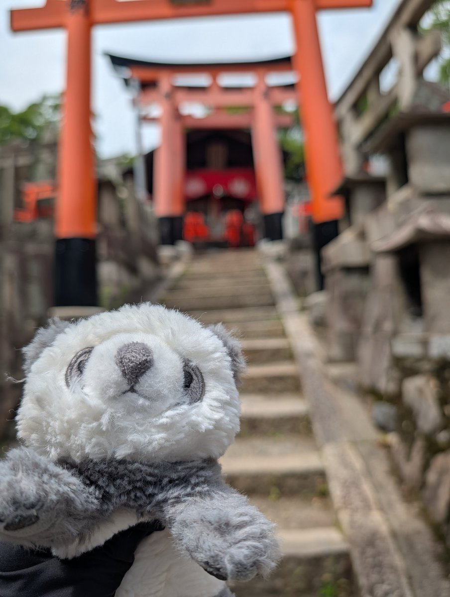 Pupepo08's tweet photo. #ぬい活
ぷぺぽは入院中なのでぷぺると伏見稲荷大社に行きました
写真撮るの下手なのは許して(>︿<｡) https://t.co/g0Xgmg47zB