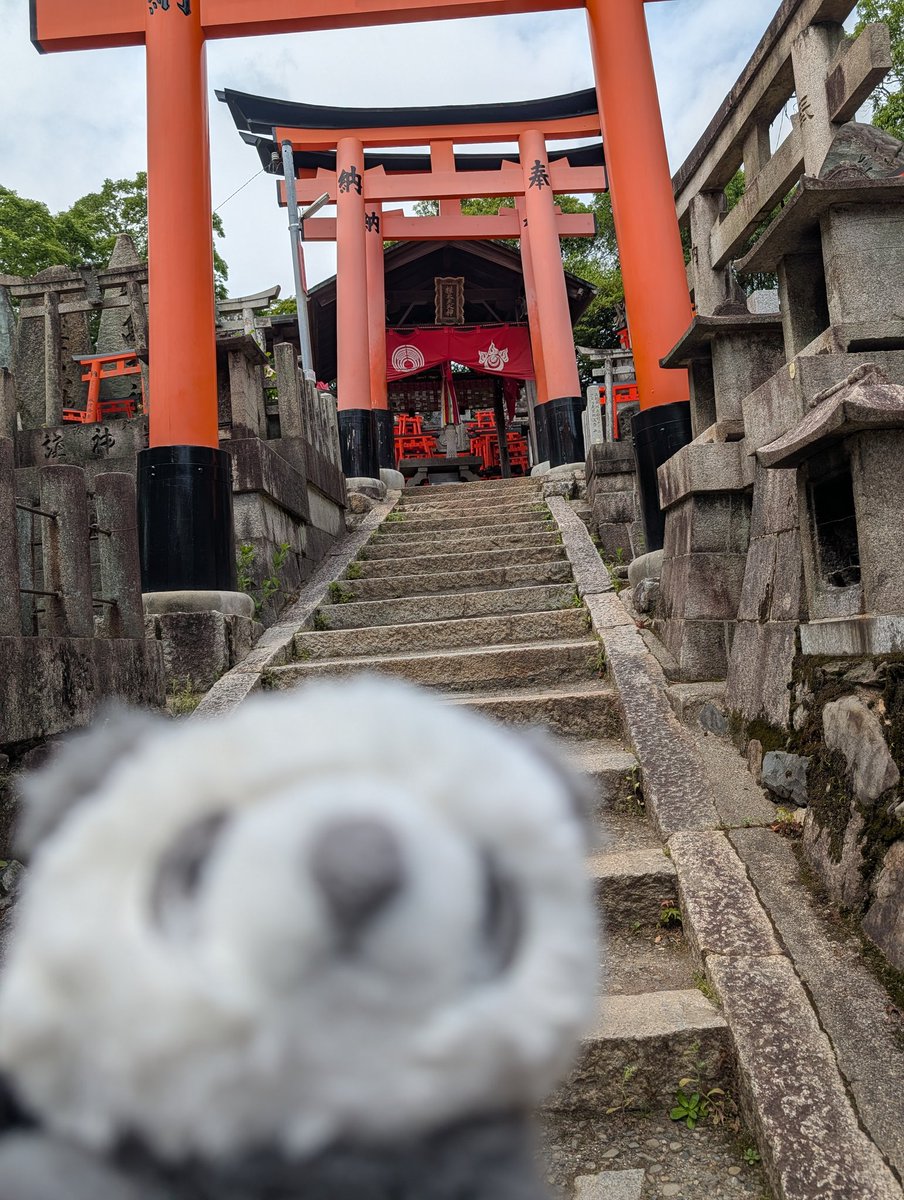 Pupepo08's tweet photo. #ぬい活
ぷぺぽは入院中なのでぷぺると伏見稲荷大社に行きました
写真撮るの下手なのは許して(>︿<｡) https://t.co/g0Xgmg47zB