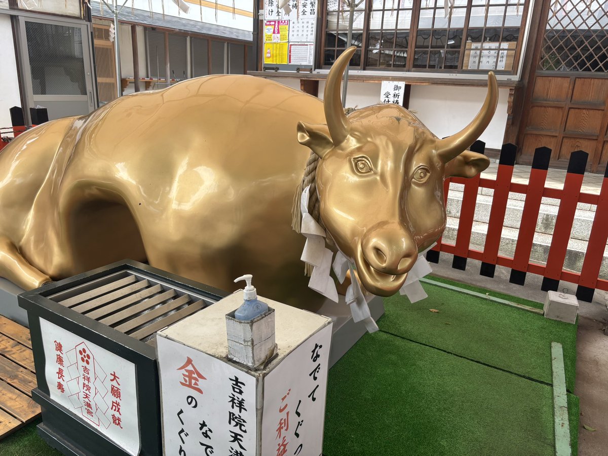 m1k6m's tweet photo. 📍吉祥院天満宮
神社の雰囲気も可愛くて御利益のある牛さんも
しっかり触ってきました🐮
干支みくじは吉がでました😌😌
御朱印と馬のキテ��ちゃんの切り絵もゲット🐴💓
#京都 #吉祥院天満宮 #サンリオ神社 #御朱印 https://t.co/UMeEajreVC