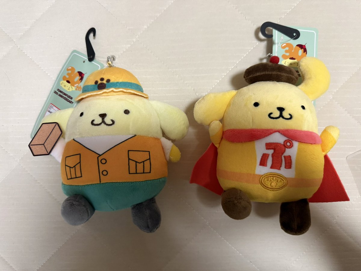 ぶんぶん (@bunbunpuro) / Posts / X