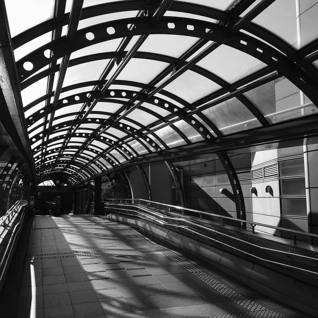 jun_horiguchi's tweet photo. ●◎○◉⚫︎⚪︎⚫︎◉○◎●

https://t.co/PyBHlrgfAe

#photos #city #モノクロ #bw https://t.co/Z0JBcCjvk6