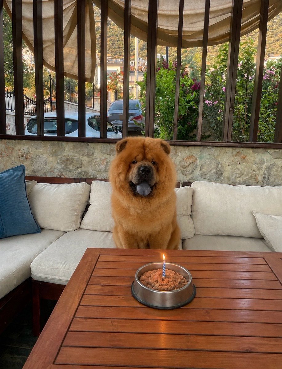 hicbiradir's tweet photo. bugün aslanımın doğum günü 6 oldu 🎂 https://t.co/XDkftaS4ml