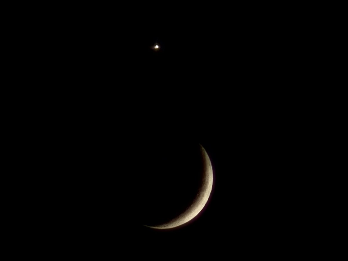 EcPuppes's tweet photo. ✨️🌙🖤 https://t.co/HZH7JWx9qp