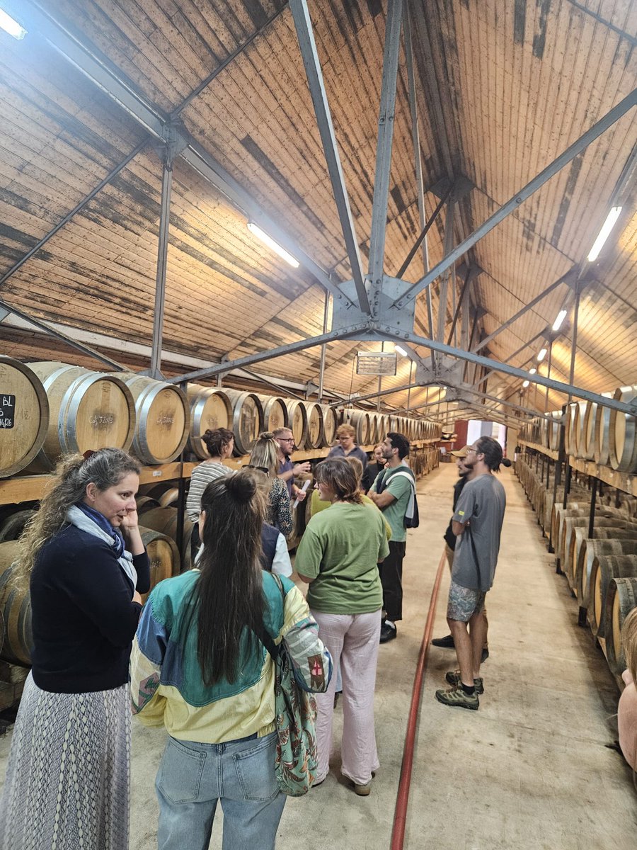 CoopVinicolesBJ's tweet photo. 🎓 Dernière intervention scolaire de l'année pour la FCCBJ ! 🍇
Le 3/06, les BTS VO du CFPPA de Montmorot étaient accueillis à la Fruitière Vinicole de Voiteur avec son président, Yannick Troussard : modèle coopératif, visite et dégustation.
Merci à tous, rdv l'an prochain ! https://t.co/Bs6F0ibogn