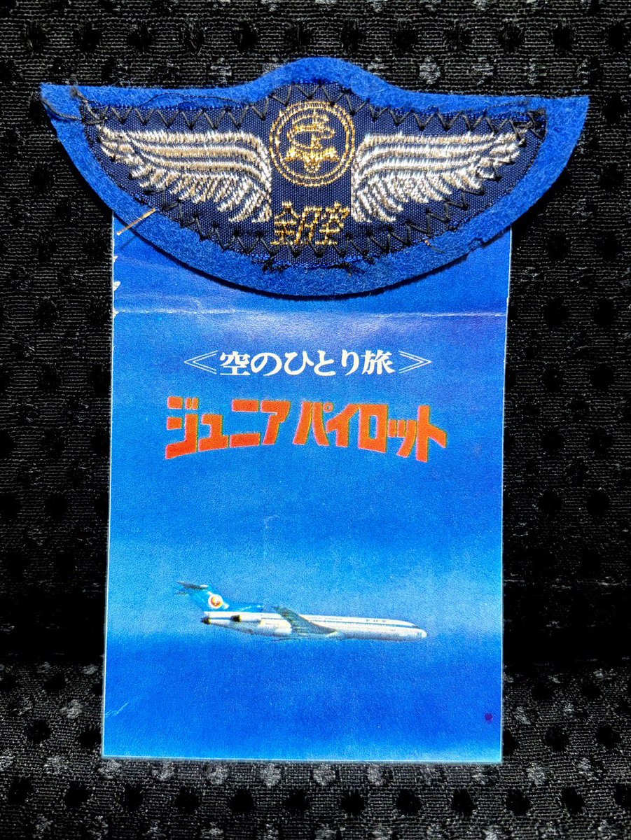 D4___DON's tweet photo. 幼少のころ、全日空のジュニアパイロットで空を飛んでました。ダビンチマーク。 https://t.co/lLTBlmaFpE