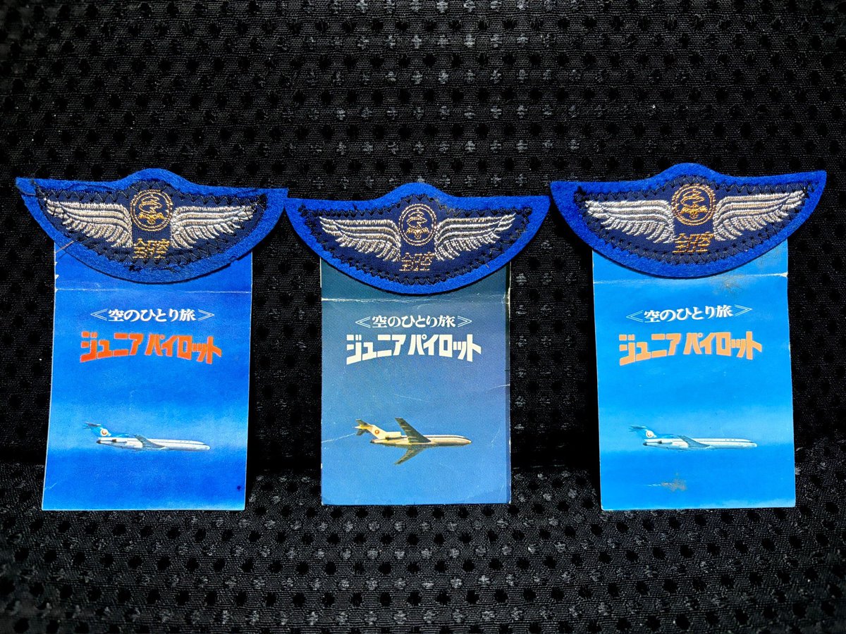 D4___DON's tweet photo. 幼少のころ、全日空のジュニアパイロットで空を飛んでました。ダビンチマーク。 https://t.co/lLTBlmaFpE