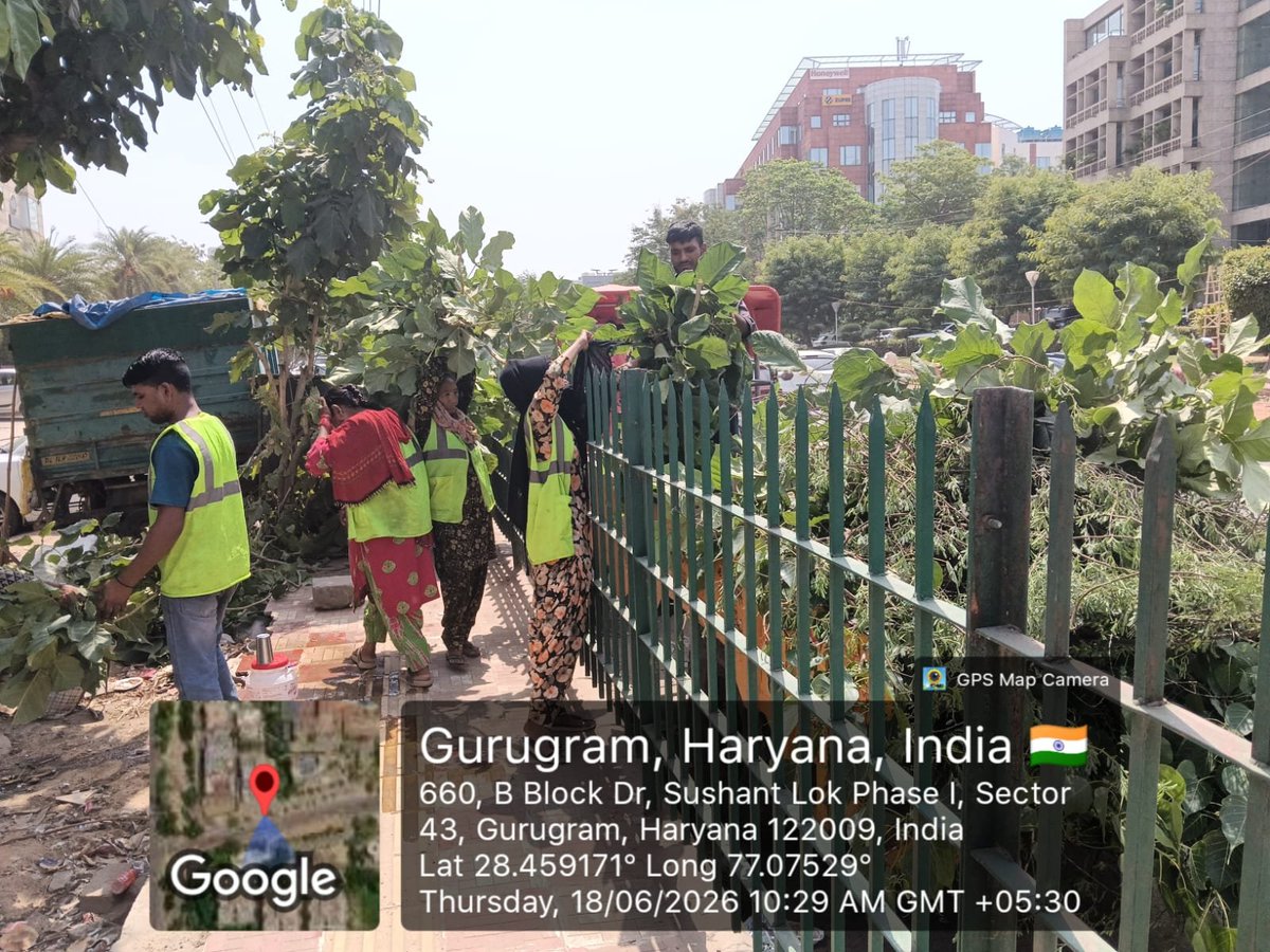 OfficialGMDA's tweet photo. Pruning and maintenance works are being undertaken along Vyapar Kendra Road to keep the corridor clean, well-maintained and visually appealing. 🌳

#GMDA #Gurugram #GreenGurugram #PruningWorks #RoadSafety #UrbanGreening #CityMaintenance #BetterMobility https://t.co/RQ5DlUf0vH