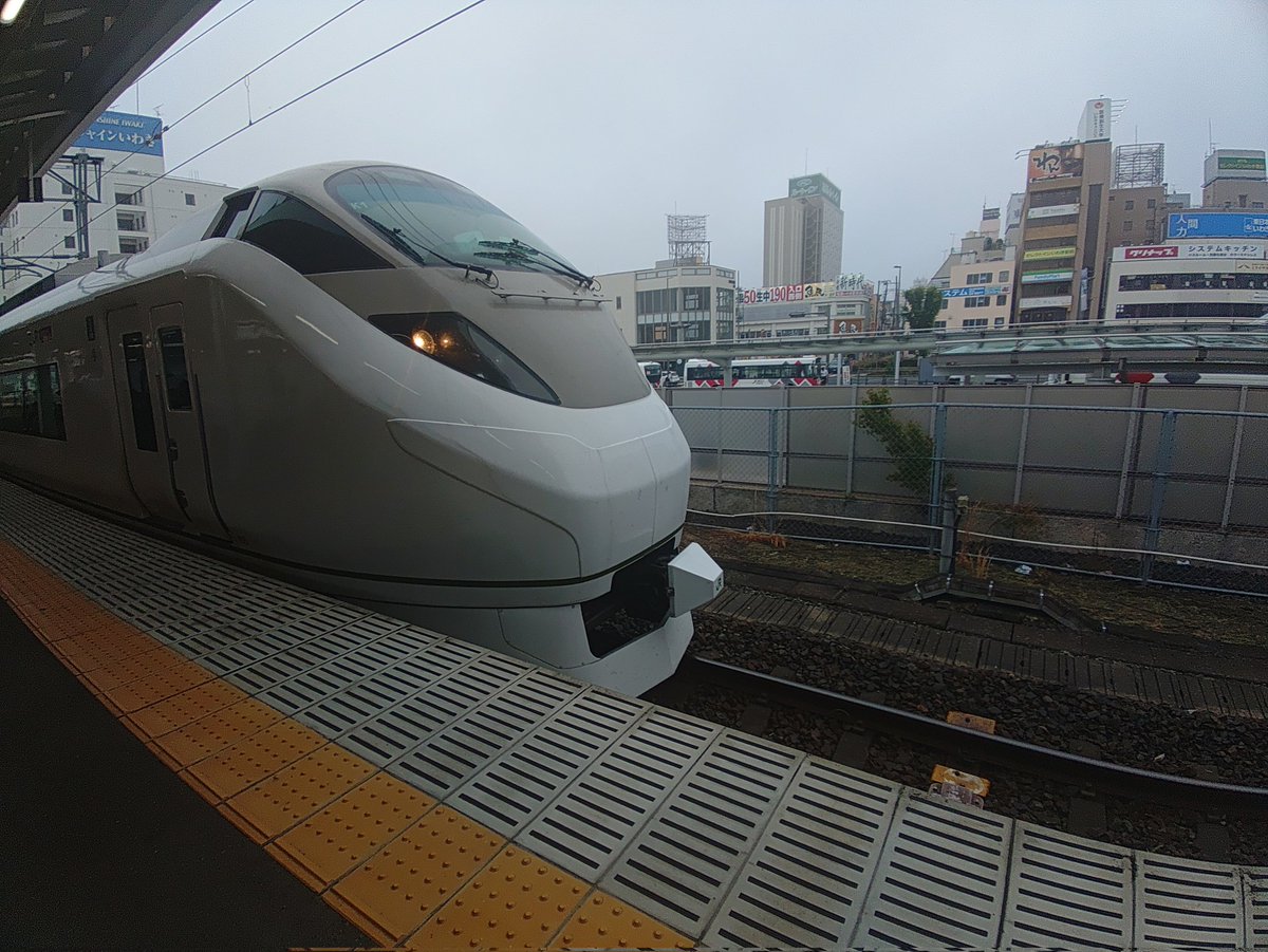 🚄💨🐸 来週もまたコレ乗るけど💦