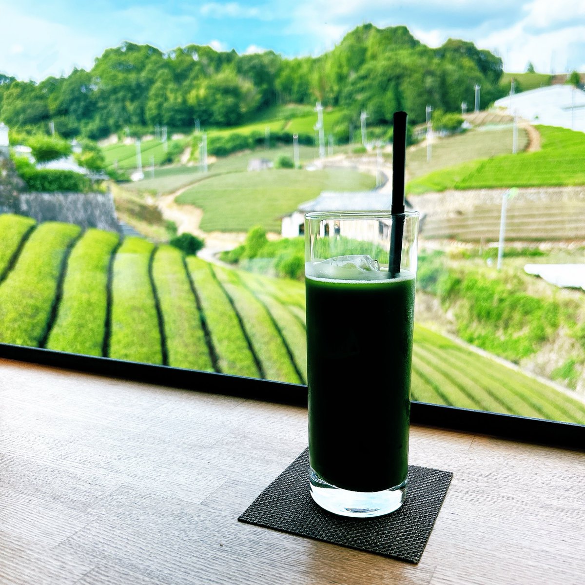 marrypie's tweet photo. お茶畑のカフェ、景色よすぎて最高😇💚 https://t.co/aElw4bATlZ