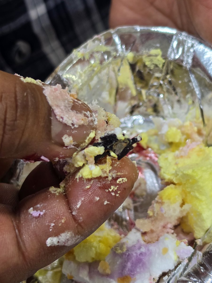 abxiitb's tweet photo. @zomato  Found a dead fly inside an office cake order. Completely ruined my reputation in front of my manager. Order: 8250458391. @zomatocare brushed it off &amp; closed the chat because I didn't take a "video". Photo evidence taken &amp; @fssaiindia complaint lodged (No: 246202956). https://t.co/Bm3Ptqsuk3
