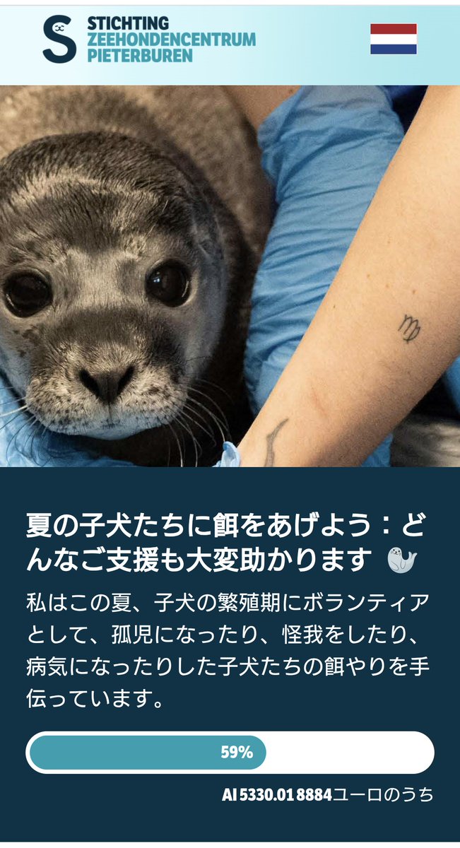 rita_3rd's tweet photo. ちょっとだけど送ったよ🐟みんな元気に大きくなるんだよ🦭🦭🦭🦭🦭🦭

翻訳ソフト使ってて、指定以外の金額を送ろうとすると「さもなくば」って言われるの、いつもおもしろい😆 https://t.co/oDnLlYJEz3