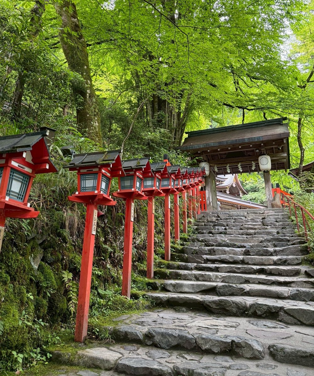 luv154x158's tweet photo. 貴船神社🍃緑たくさんで空気綺麗だった気がする　願い叶ったのでおすすめです👈🏻 https://t.co/SC8BjIKogT
