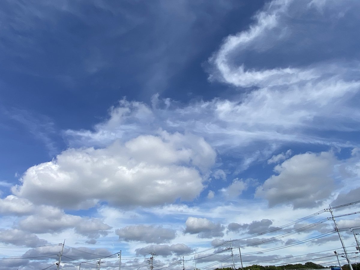 カメさん tweet media