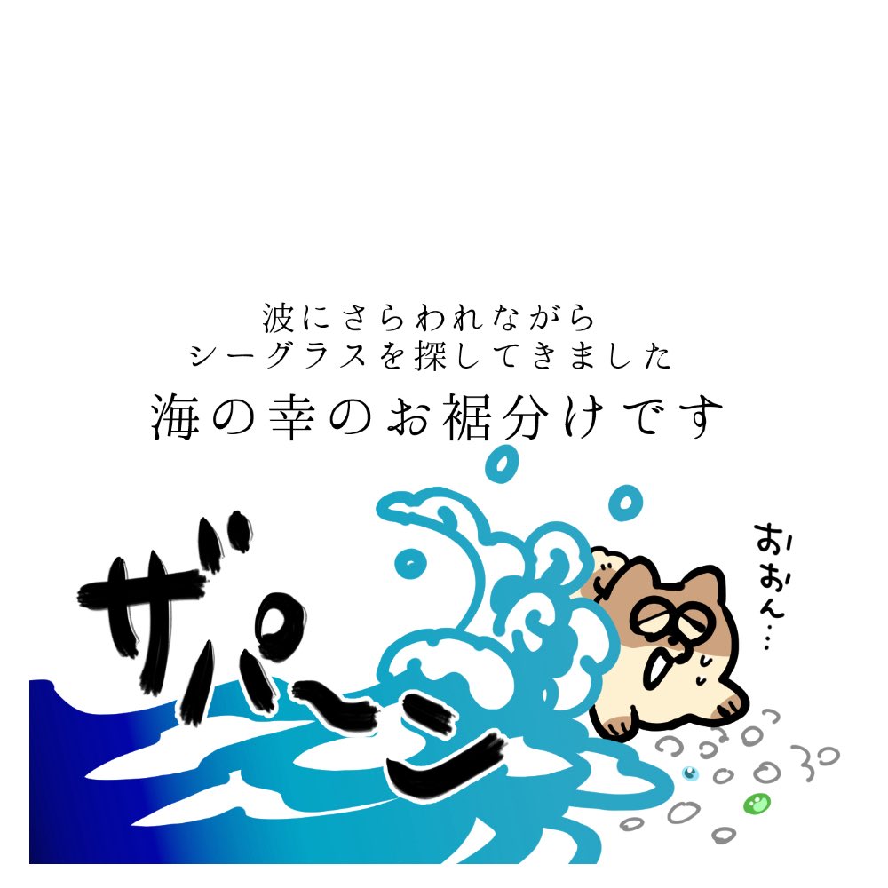 koppepan_inu's tweet photo. #トキメゾ にシーグラスリング💍をいくつか持って行きます！お気に入りのひとつが見つかりますように🐶✨

トキメキメゾネット vol.16
🗓️2026/6/20-21(2days)
🕙️10:00-20:00

📍新潟県新潟市中央区万代 1-5-1
ラブラ万代1F イベントスペース(バスセンター側入り口すぐ) https://t.co/w6LRREHHyo