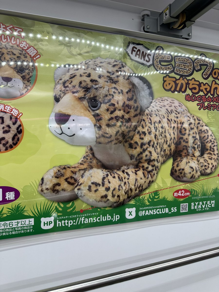 新しく投入開始致しました景品です👍 ＃ヒョウの赤ちゃん