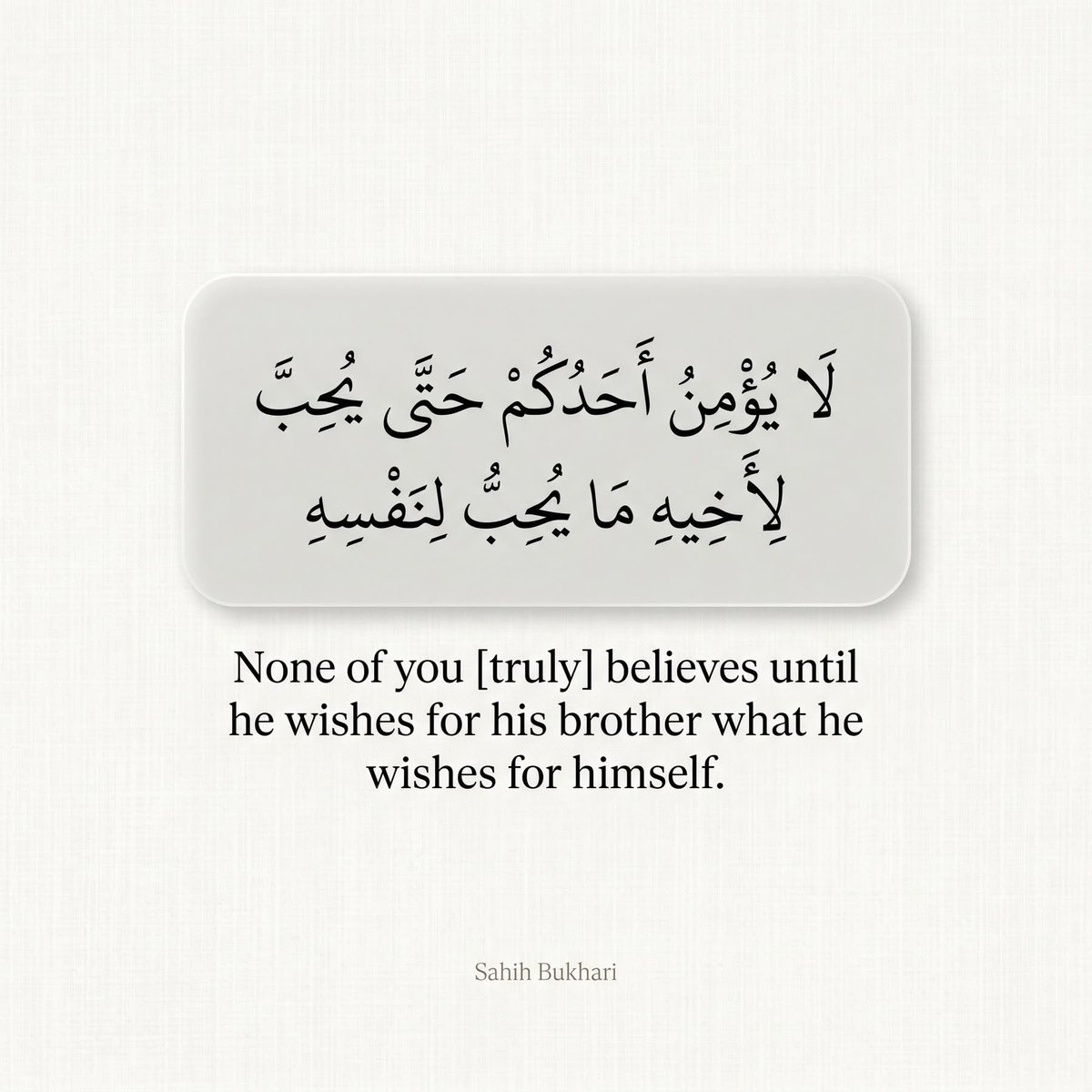 Musab_y_agric's tweet photo. 🙏🏻🤝 https://t.co/5MDvoU6igE