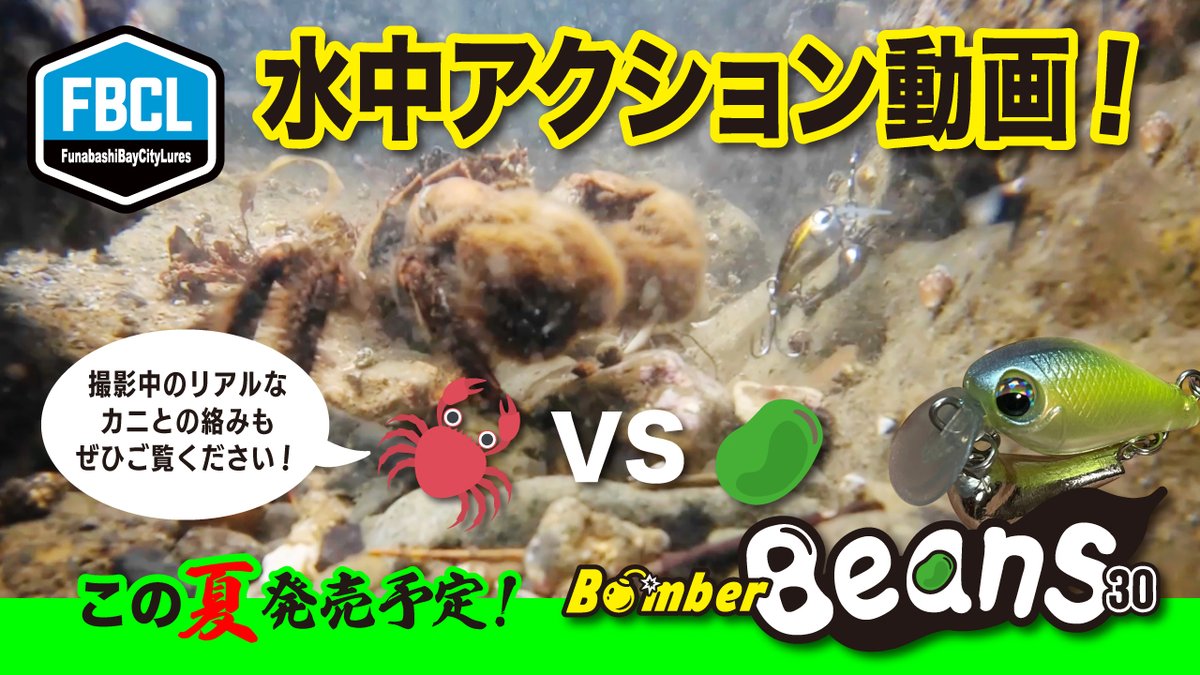 atu_kano's tweet photo. この夏発売予定！ボンバービーンズ水中アクション動画！-撮影中のリアルなカニとの絡みもぜひご覧ください- https://t.co/DcSJilC87W @YouTubeより 

#FBCL
#霞デザインオフィス
#ボンバービーンズ https://t.co/UzqmmwKb3T