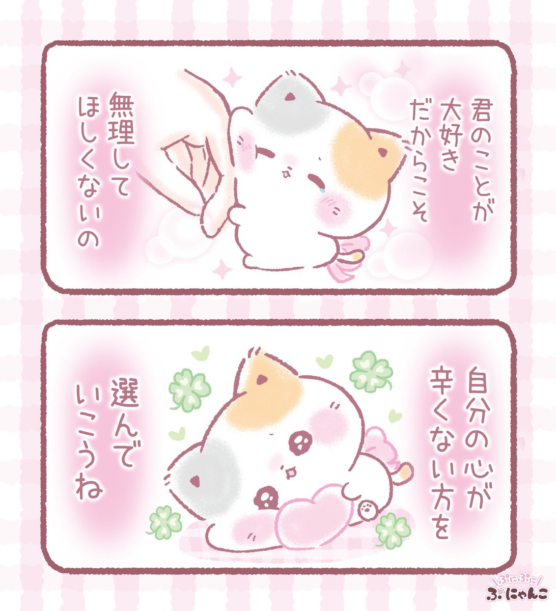 ぷにゃんこ🐾|TOKUDOME🌼 tweet media