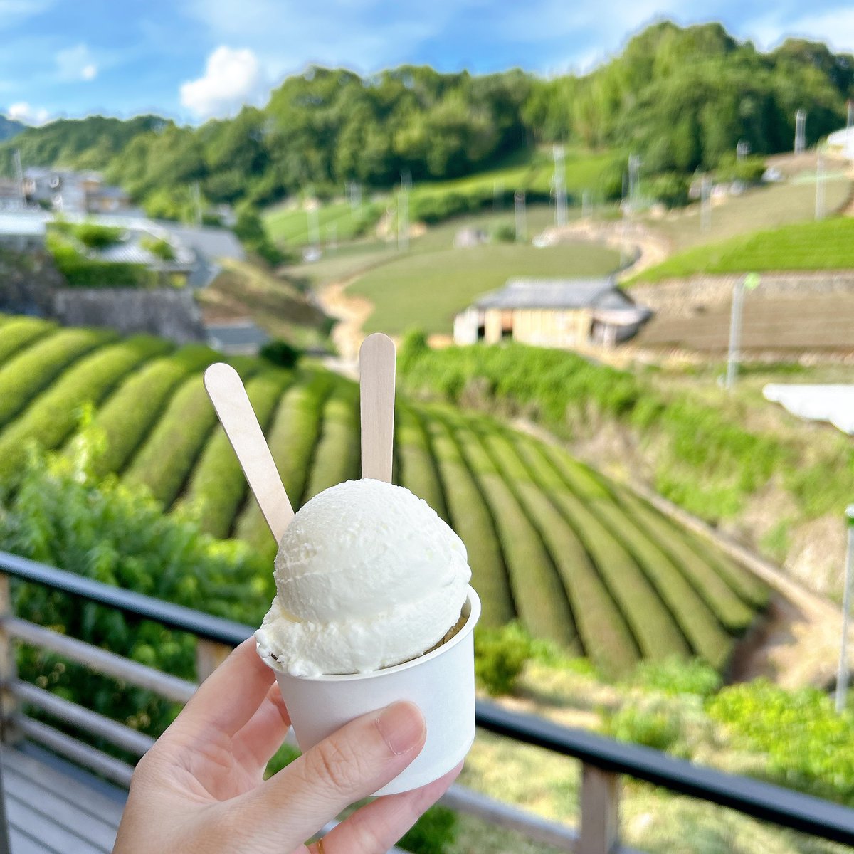 marrypie's tweet photo. お抹茶も美味しかったんですけど、自家製ジェラートがめ~~~ちゃ美味しくて店内利用後テイクアウトまでしてしまった……（ミルクとほうじ茶ダブル❣️） https://t.co/eY2zyn4F0p