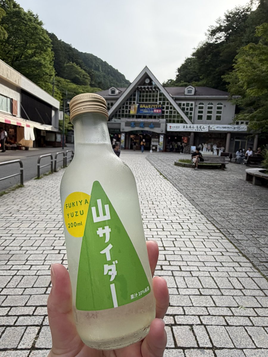 ManatanC's tweet photo. 駅直結の温泉入った後の八王子ラーメン🍜
山サイダー🥤
まじで高尾山最高🫶
人気なのが分かった！
また来るね高尾山⛰️ https://t.co/PUv8msdo3w