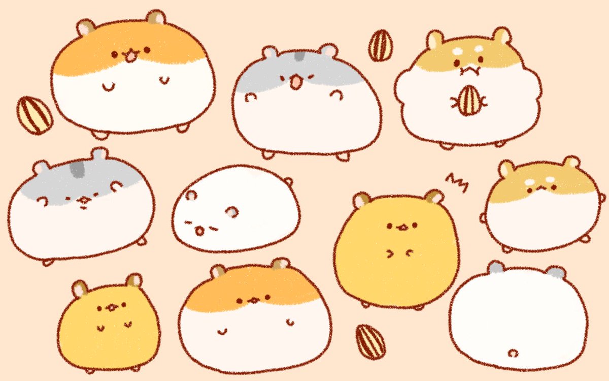 tamagom5m5's tweet photo. 🐹ᯓ★ https://t.co/XYUKRdTBr6