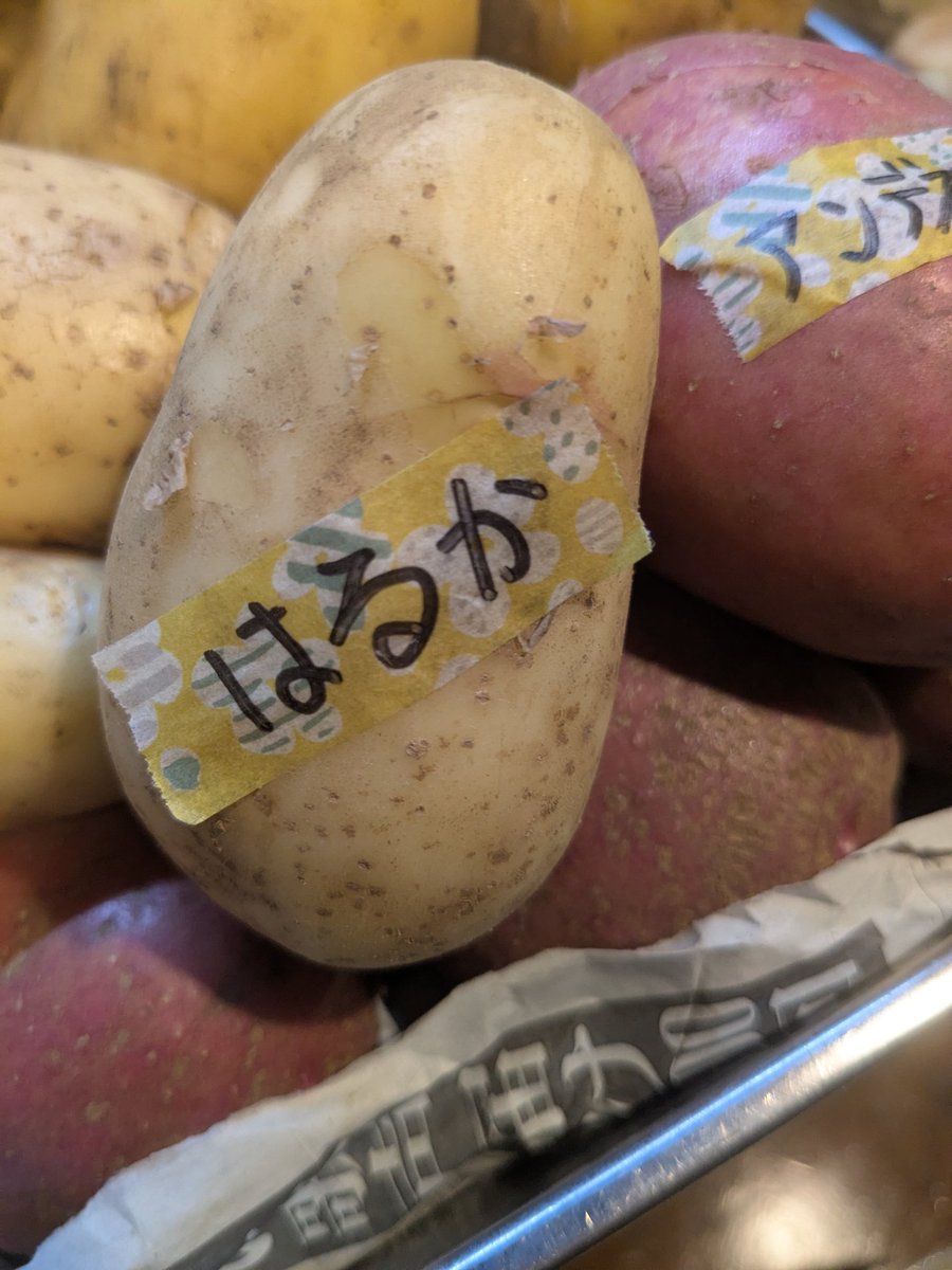 grace_a_vous's tweet photo. 【ヴィシソワーズ】
「はるか」で作りました。
美味しい枝豆とジュレを乗せます。

他、
おすすめは
オリーヴポークのロースト、
エビとトレビスの温製サラダ
佐藤錦の冷製パスタはあと少し。

※2枚目は自家製ソーセージのパン。
無骨な見た目ですが旨いです。
お持ち帰り用で。 https://t.co/Jm6PW036Al