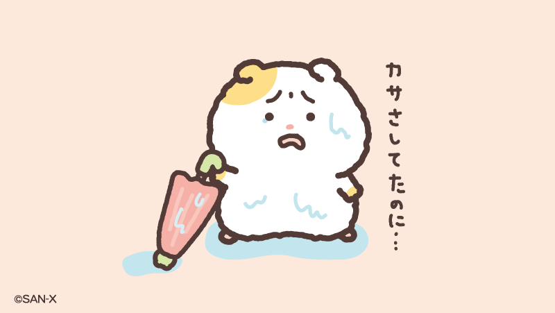 hamuchima_sanx's tweet photo. びしょびしょ…☔️🐹 https://t.co/lGIUv9JbZF