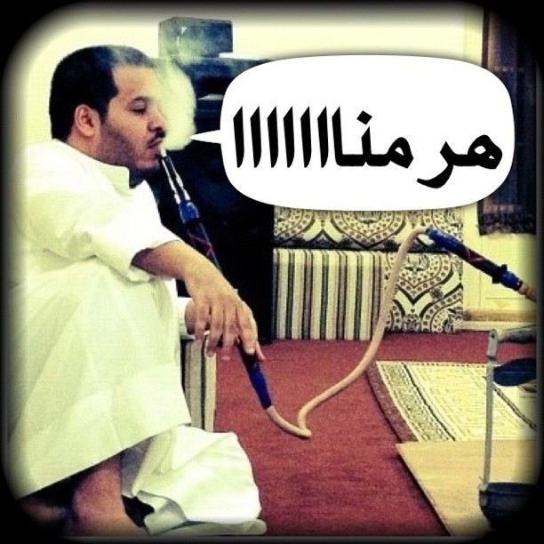 983183's tweet photo. رسميًا عطلت
جاهز اتابع اسوء منتخب يلعب في كأس العالم من قو الفضاوه https://t.co/BLrgPw991f