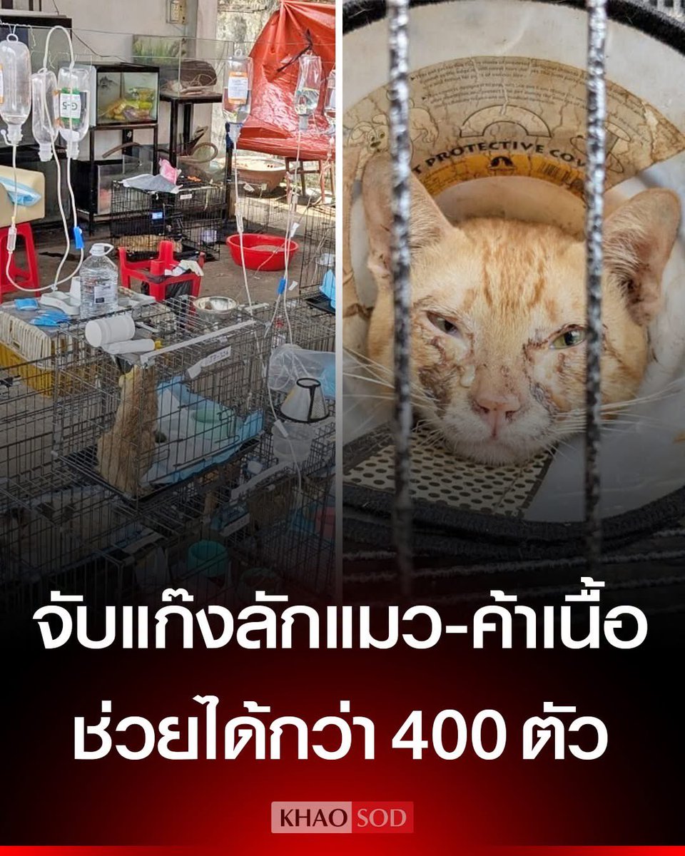 psmark1821's tweet photo. ไอเหี้ยยยยยย โคตรเลวอะ กับสัตว์ก็ยังไม่เว้น😡😡😡😡😡😡😡😡 https://t.co/2sh08eq7JB