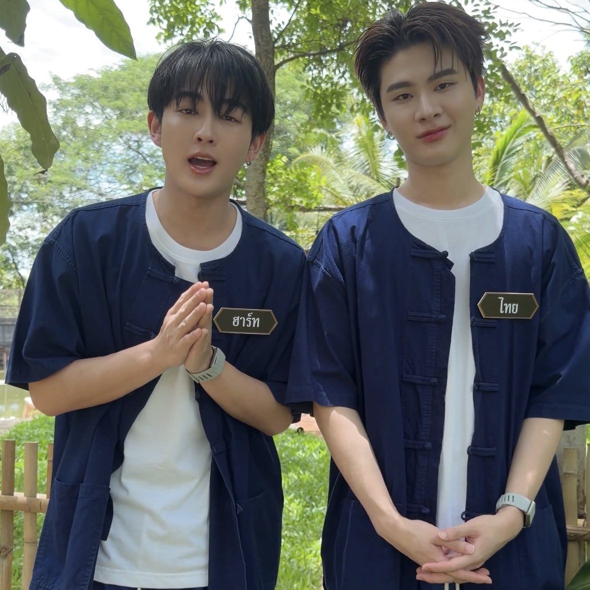 babykoobarbie's tweet photo. ไทยดูโตกว่าน้องฮ้าทอีกอะ555555555555555555 https://t.co/kxLV47fCQA