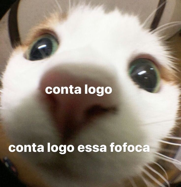 odeiootaco's tweet photo. 'odeio gente fofoqueira'

eu tbm: https://t.co/RvKIYpThHx