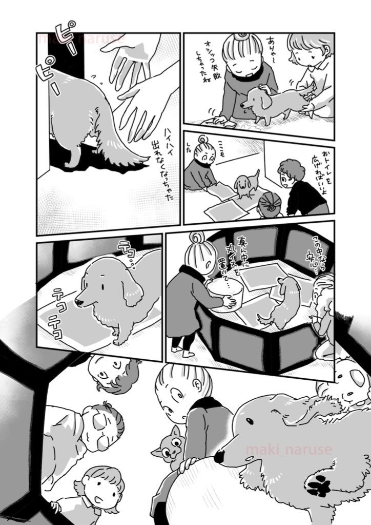 【再掲】「ワタシの人生に とうとう犬がいなくなってしまった」③ 
