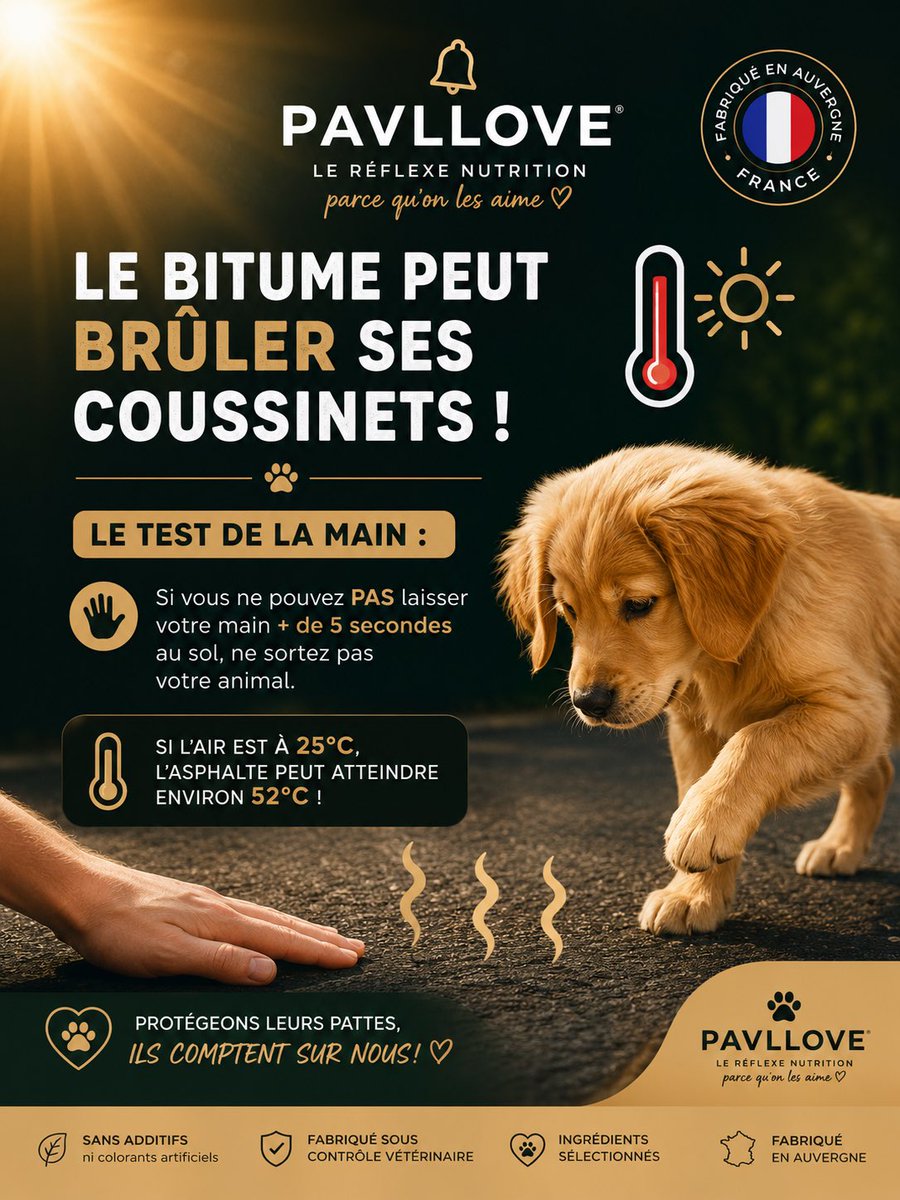 pavllovecom's tweet photo. ☀️🐶🐱 CANICULE : PROTÉGEONS CEUX QUI NOUS DONNENT TANT D’AMOUR ❤️ https://t.co/Ngm10iZBFI