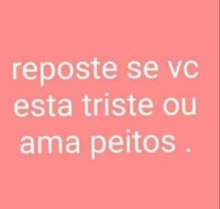 perfil dedicado a gatinhos e p3it0s tweet media