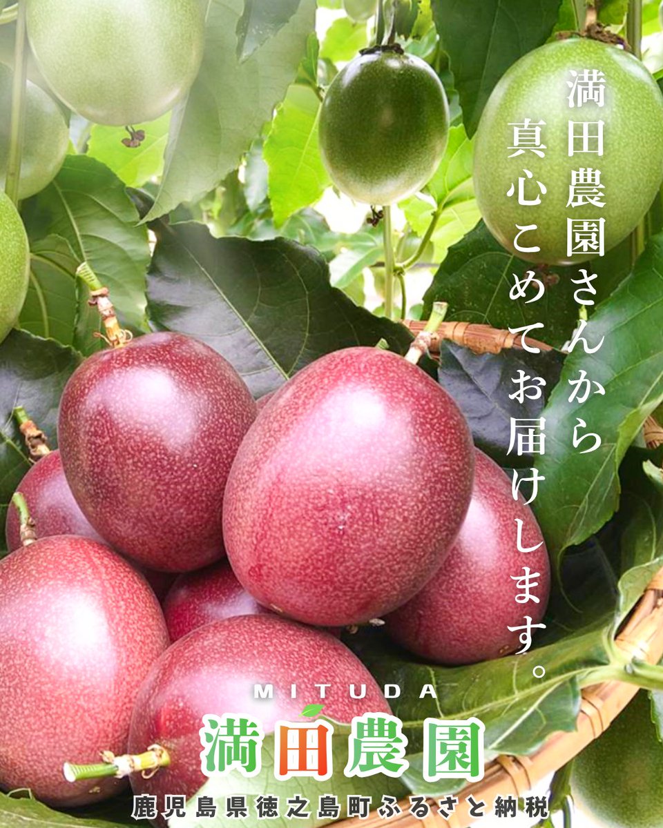 tokuno_furusato's tweet photo. 【オススメ🐰】
鹿児島県徳之島町ふるさと納税では、満田（みつだ）農園さんの美味し～いパッションフルーツが旬を迎えています🌈
濃厚な甘みと爽やかな酸味！プチプチ食感をお楽しみください🥰
#徳之島 #パッションフルーツ #ふるさと納税
#満田農園 #ふるさとチョイス
https://t.co/vod8NnlpmN https://t.co/p4KFgP4diw