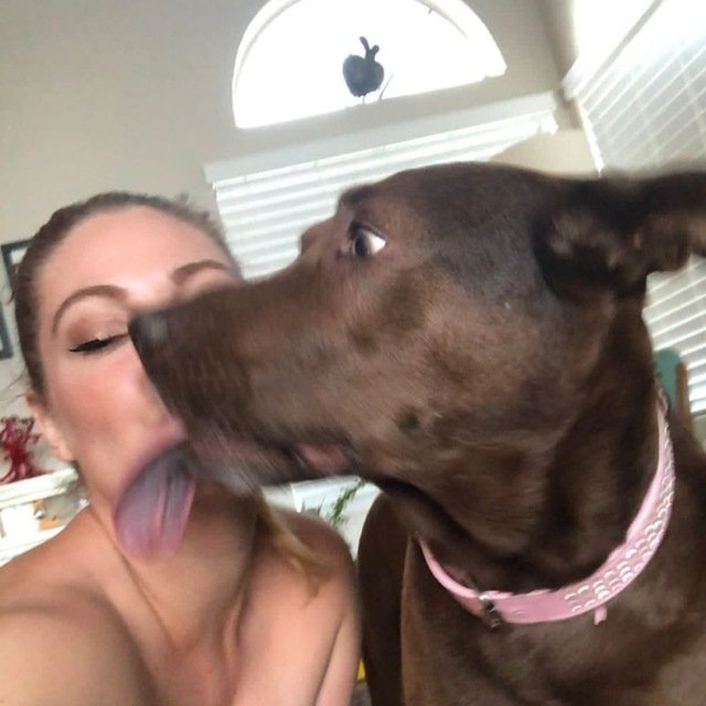 prettynottm's tweet photo. hello k9 lovers 
DM me on zangi 👇👇👇 
6673168504 https://t.co/ht91gM2Tnk